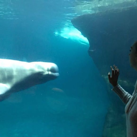 Meet your Posher, Rachel - Picture 1 of 1